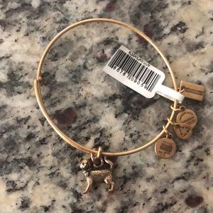 Alex and Ani Charm Bracelet